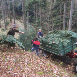 vorbereitungen2010-1