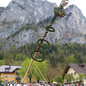 maibaum2010-19