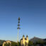 Maibaum 2025